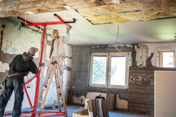 Best Insulation Installation Services in Superior, AZ